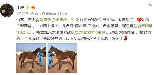 马爸爸内部爆料视频大全,视频大全背后的商业智慧  第2张